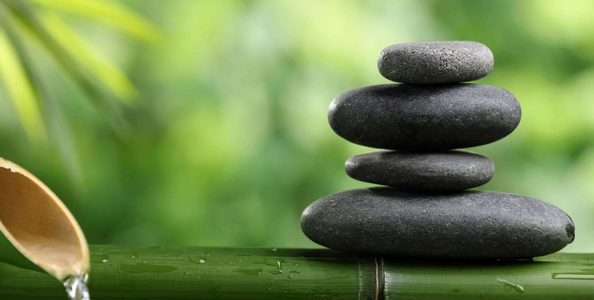 Скидки на абонементы на тайский массаж и спа